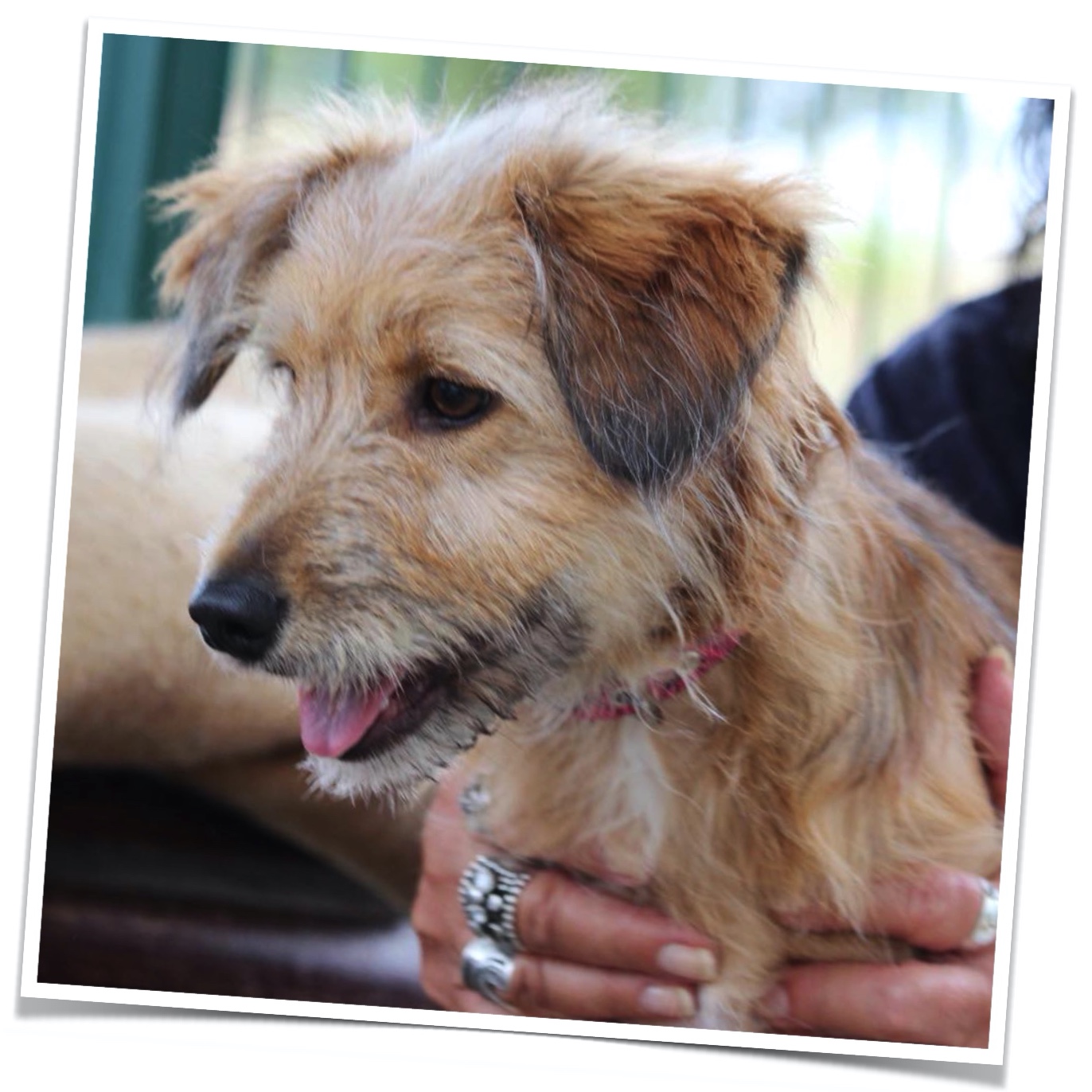 34719486 1740160322716801 6718184661832433664 s